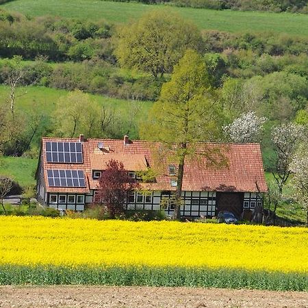 Appartamento Forsthaus Wilmeroederberg Polle Esterno foto