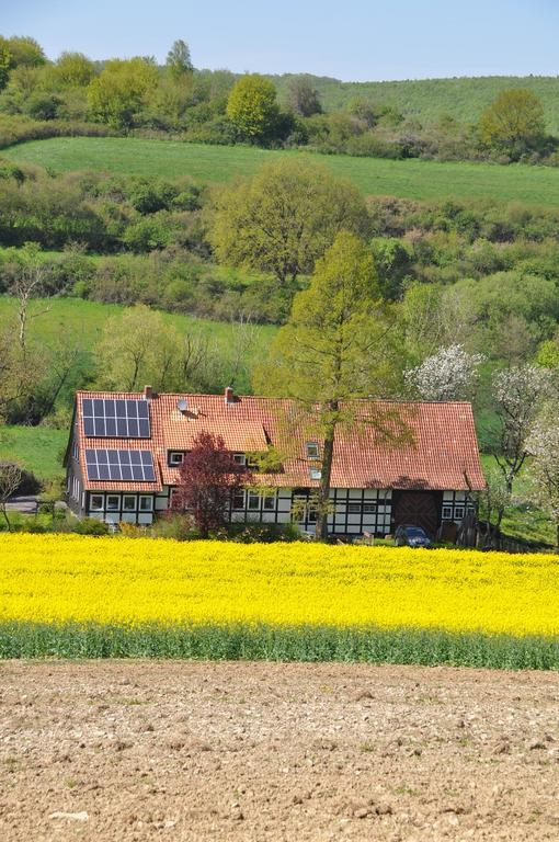 Appartamento Forsthaus Wilmeroederberg Polle Esterno foto